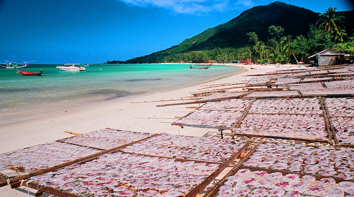 Chaloklum seafood village